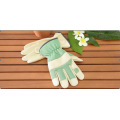 Leather Glove-Working Glove-Gloves-Safety Glove